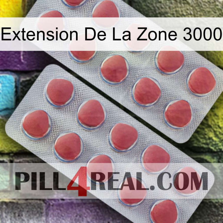 Exten Zone 3000 19